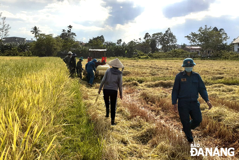 The militia forces are on mission to harvest rice in the field to help locals.