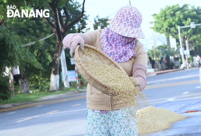 When the rice is dried, farmers clean the rice before bringing it home for storage.