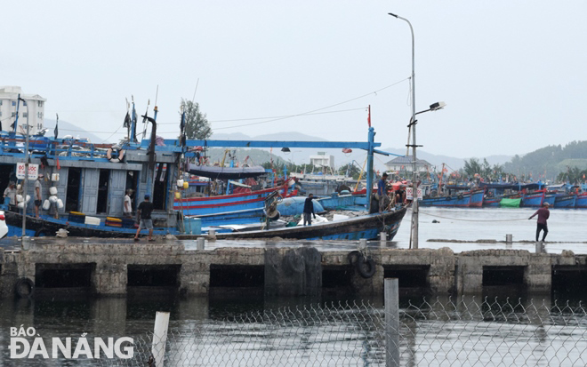 Một tàu cá khẩn trương cập cảng cá Thọ Quang để bốc dỡ hải sản và trú bão. Ảnh: HOÀNG HIỆP