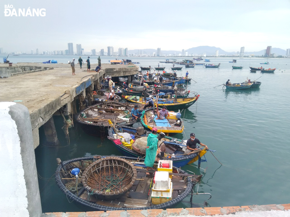 Basket boats and fishing vessels find storm shelter in the Tho Quang Fishing Wharf.