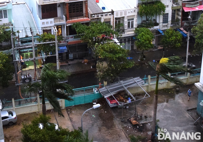 Gió đã lay mạnh các cây xanh ở khu vực phường Nại Hiên Đông (quận Sơn Trà) vào sáng sớm 11-9. Ảnh: HOÀNG HIỆP