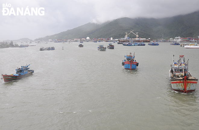 Boats are in a hurry to find a safe storm shelter in the Tho Quang Tho Quang fishing wharf.