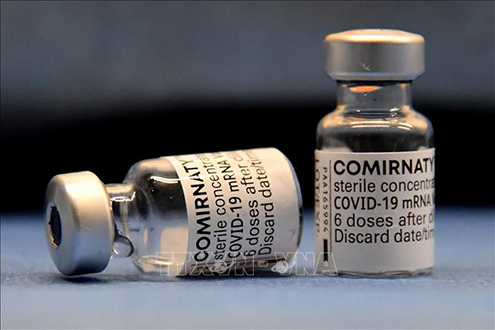 Vaccine  Covid-19 của Pfizer-BioNTech. Ảnh: AFP/TTXVN