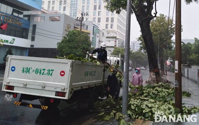 Clearing trees branches after being pruned on Quang Trung Street. Photo: HOANG HIEP