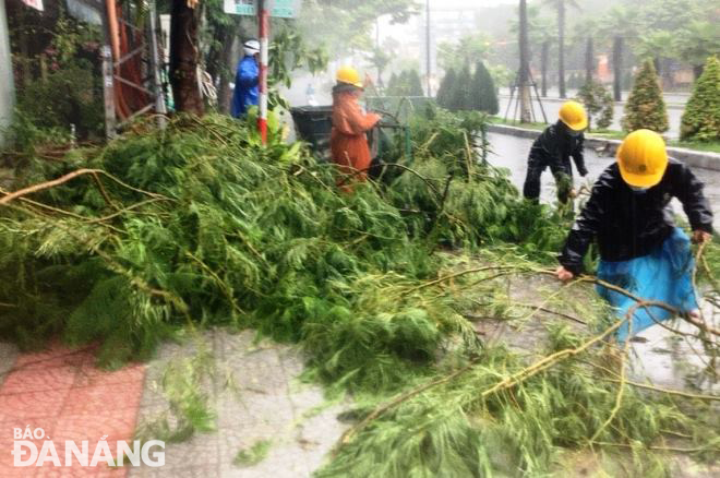 Removing fallen tree branches on Ngu Hanh Son Street. Photo: HOANG HIEP