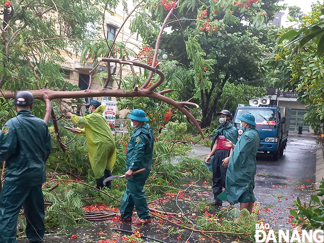 Clearing fallen trees on on An Thuong 8 Street in My An ward, Ngu Hanh Son District. Photo: TRIEU TUNG