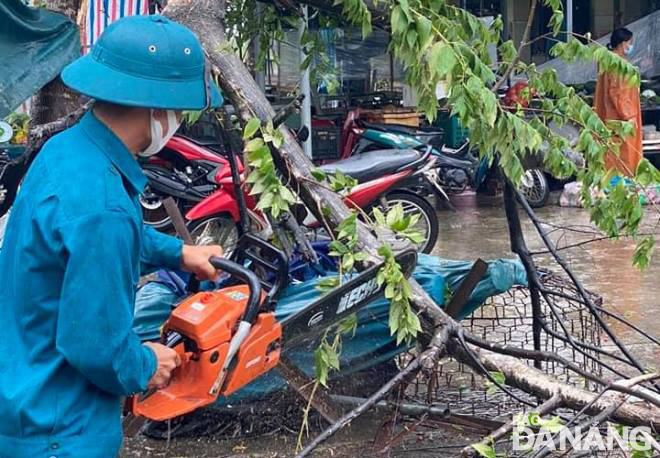 Lực lượng xung kích xã Hòa Liên (huyện Hòa Vang) cưa gọn, thu dọn các cành cây bị gãy do gió bão. Ảnh: P.V