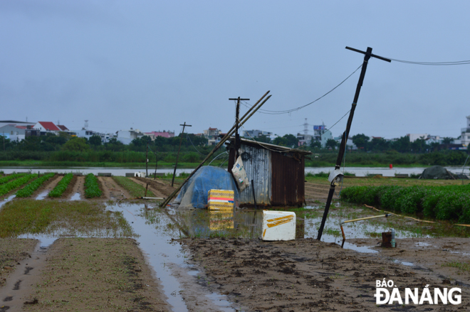 The arrival of flood season has given vegetable growers even greater anxiety and worry.