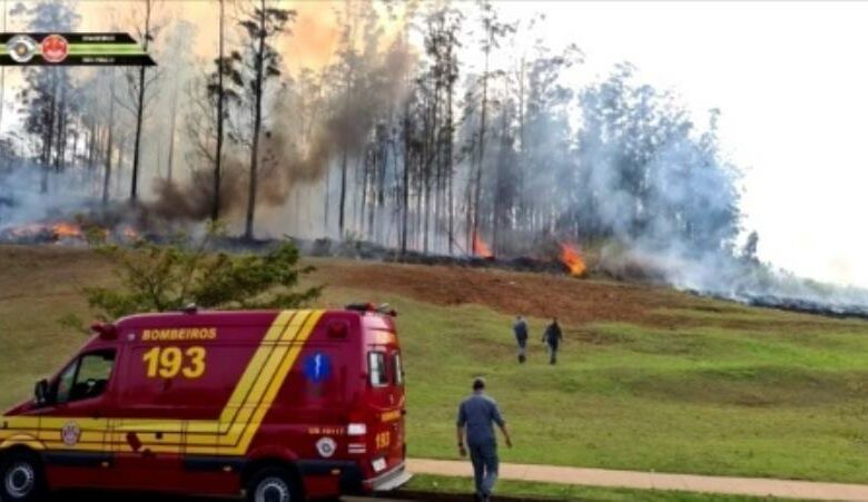 Tai nạn máy bay tại Brazil, 7 người thiệt mạng. Ảnh:laprensalatina.com
