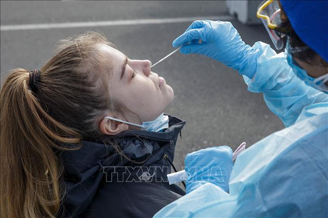 Nhân viên y tế lấy mẫu xét nghiệm Covid-19 tại Auckland, New Zealand. Ảnh: AFP/TTXVN