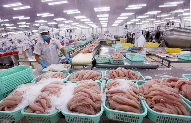 A fish processing factory in Vietnam (Photo: VNA)