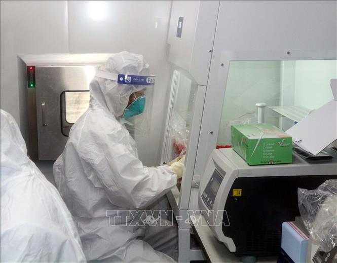 Xét nghiệm sàng lọc virus SARS-CoV-2. Ảnh: TTXVN.