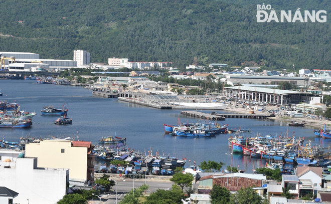 A view of Tho Quang fishing wharf and its seafood wholesale market Photo: HOANG HIEP