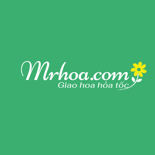 Shop hoa tươi Đà Nẵng - Đơn vị cung cấp hoa tươi 4 mùa số một hiện nay