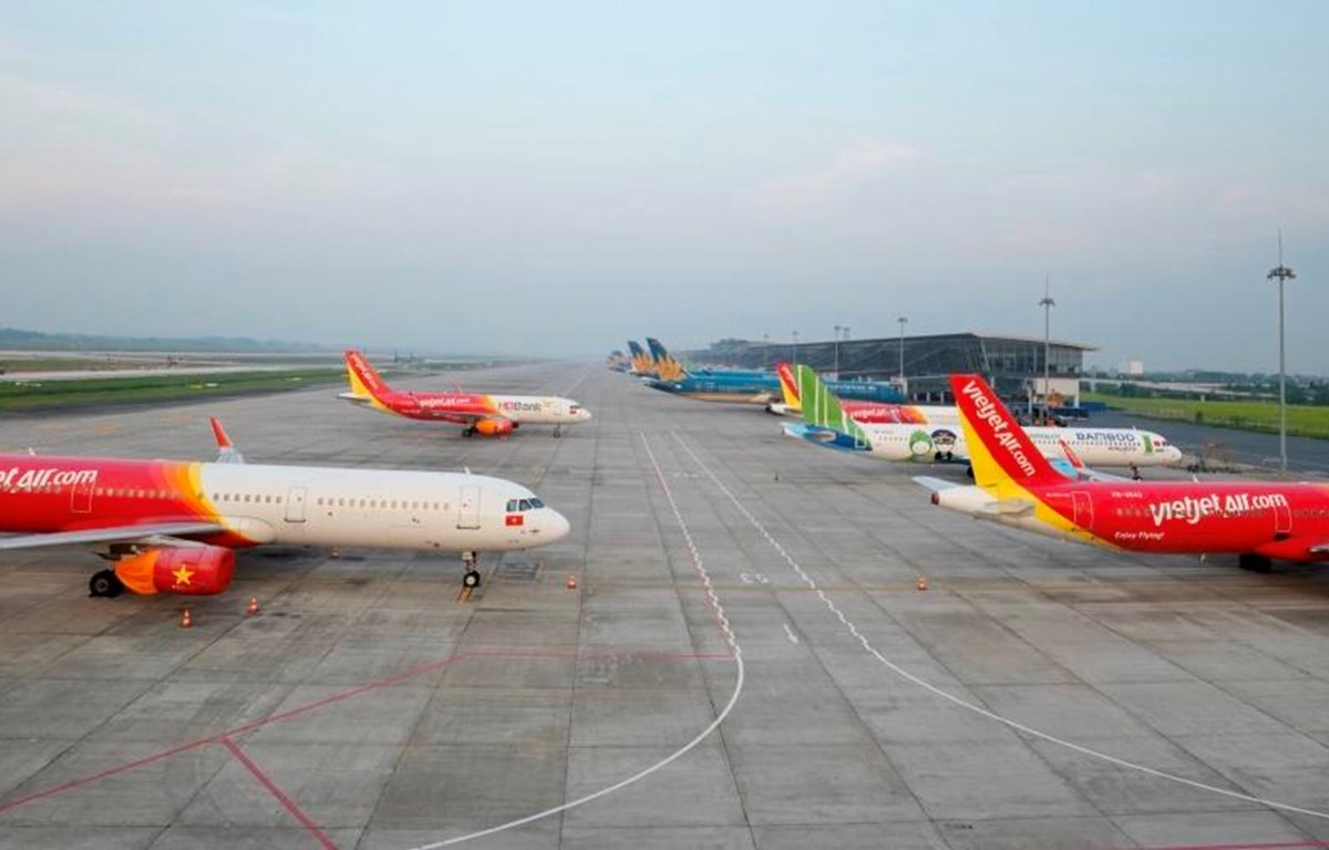 Các hãng hàng không khôi phục và mở bán vé nhiều đường bay nội địa