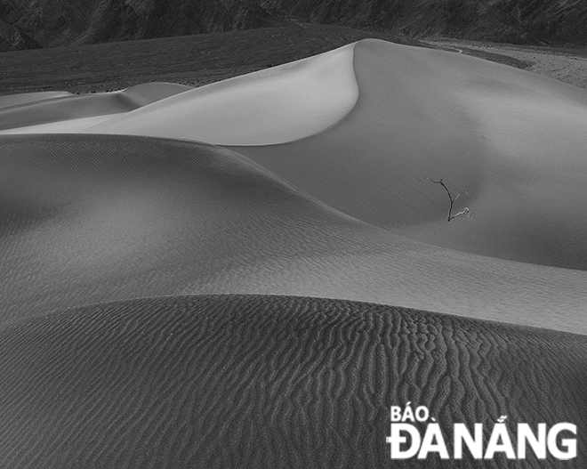 Ngắm cát ở vườn quốc gia Thung lũng Chết