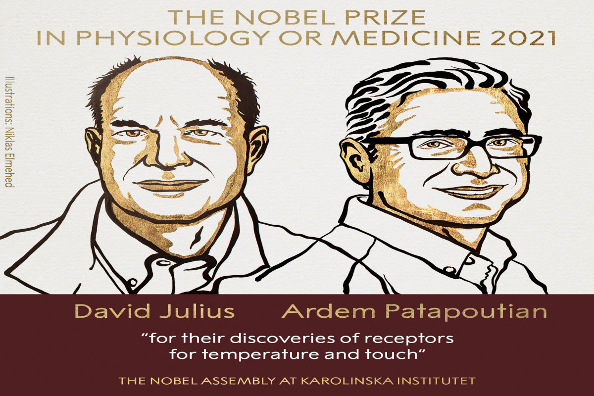 Hai đồng chủ nhân Giải Nobel Y học năm 2021. Ảnh: nobelprize.org