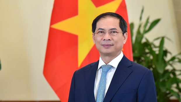 Minister of Foreign Affairs Bui Thanh Son (Source: VNA)