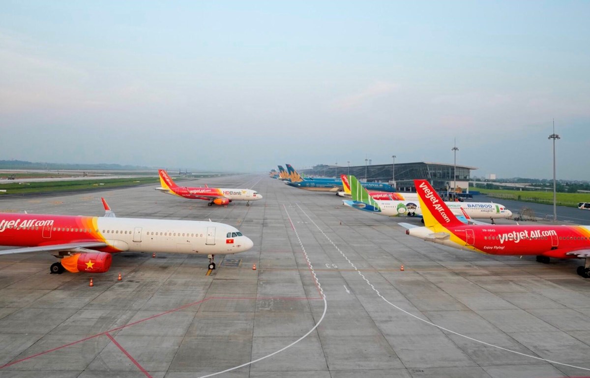 Các hãng hàng không đã xây dựng và lên kế hoạch khôi phục một số đường bay nội địa. (Ảnh: CTV/Vietnam+)