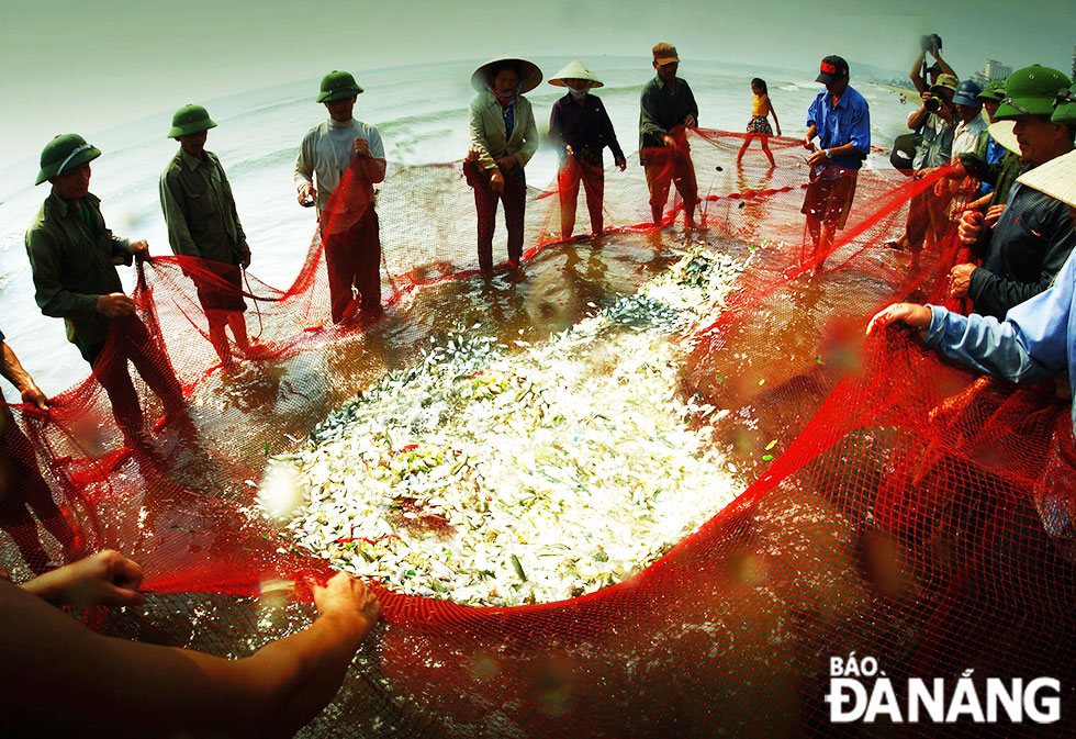 Fishing nets returning to the shore with bumper catches after their early morning fishing trips.