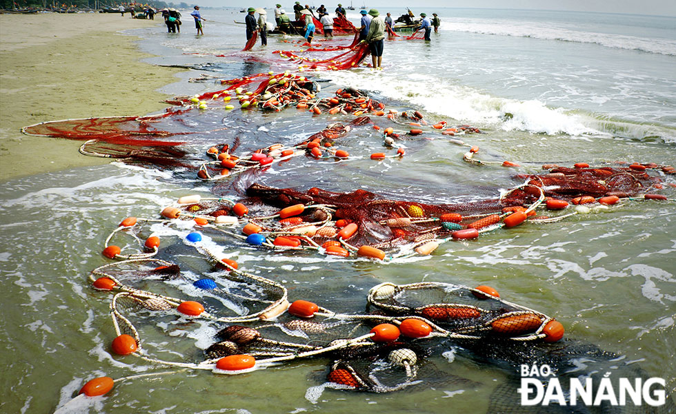  The bustling atmosphere with many fishermen, seafood traders, and buyers blending with the colourful scenery of net floats playing with waves at an early-morning fish catching.