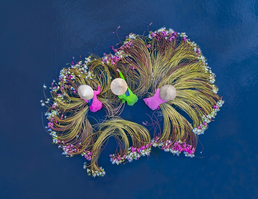 ‘Mua Hoa Sung’ (Water lily season) - Bronze medal in Serbia in 2019.