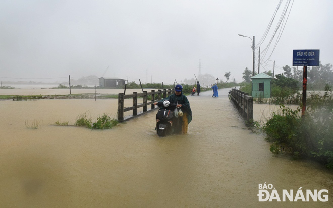 Overflowing Cu De River causes flooding the Ho Dua Bridge which is the main route connecting Hoa Hiep Bac Ward in Lien Chieu District to Hoa Lien and Hoa Bac communes in Hoa Vang District. Photo: HOANG HIEP