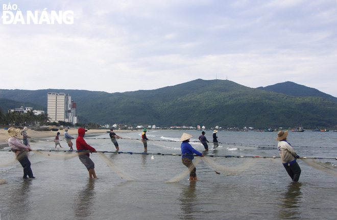 Each batch of trawling needs to gather the labor of 12 to 14 fishermen. Photo: Xuan Dung