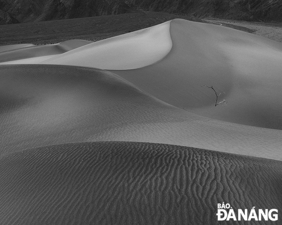 Soft shadows created by the pre-sunset light add to the delicacy of the Mesquite Flat sand dunes.