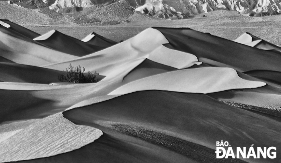 The late-afternoon beauty of sand dunes