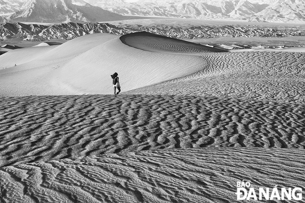 Ripples created by the action of wind change frequently and look like strange carpets.