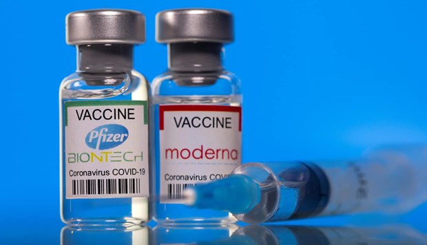 Pfizer and Moderna vaccines (Photo: Ministry of Health)