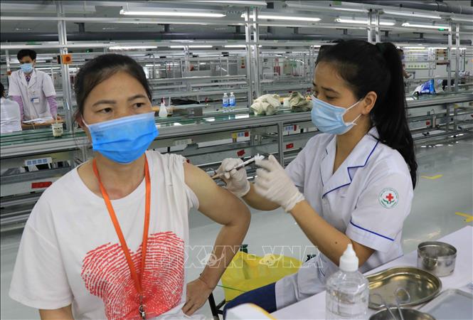 Ngày 9-11, Việt Nam ghi nhận 8.133 ca nhiễm mới SARS-CoV-2, trong ngày có 88 ca tử vong