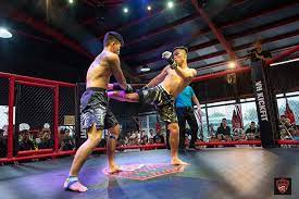 Lần đầu tiên Việt Nam tổ chức giải MMA quốc gia