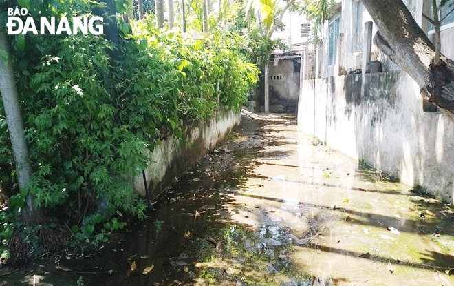 Dù trời nắng và mưa đã dứt 2 ngày nhưng nước vẫn còn đọng trên mặt kiệt của khu vực tổ 5 thôn Cồn Mong, xã Hòa Phước. (Ảnh chụp trưa 21-10)Ảnh: ĐẮC MẠNH	