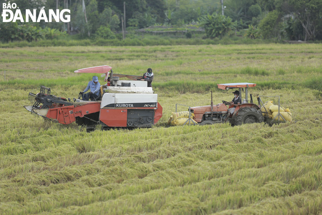 Làng quê đã qua bao mùa mưa nắng. Ảnh: PHÚC AN