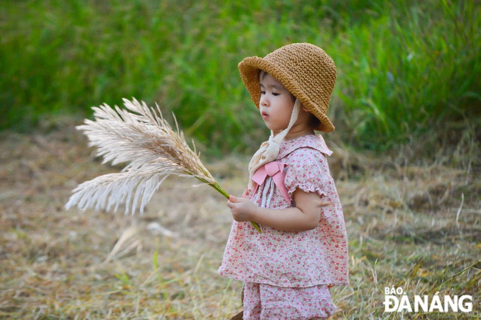 Both children and adults are excited to take souvenir photos with ravishing white reeds at the beginning of the season.