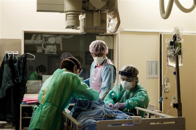 Nhân viên y tế điều trị cho bệnh nhân Covid-19 tại một bệnh viện ở Yokohama, Nhật Bản ngày 8-8-2021. Ảnh: AFP/TTXVN