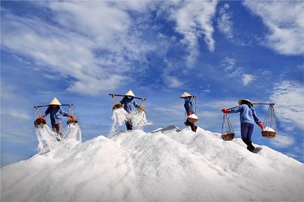 A photo to be showcased at the coming exhibition in Ninh Binh province. (Source: organising board)