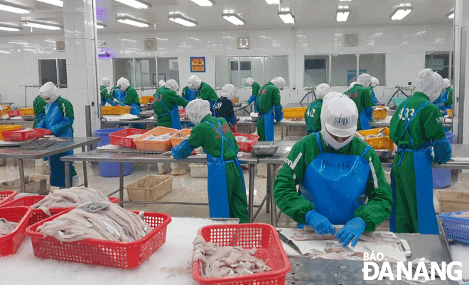  Workers are observing working at SEADANANG based in Son Tra District-located Da Nang Fisheries Service IP. Photo: KHANH HOA