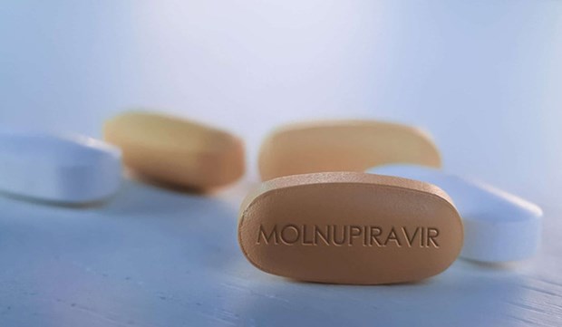 Molnupiravir pills (Photo: VNA)