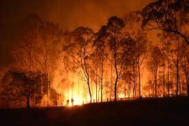 Úc ứng phó với thảm họa cháy rừng và lũ lụt