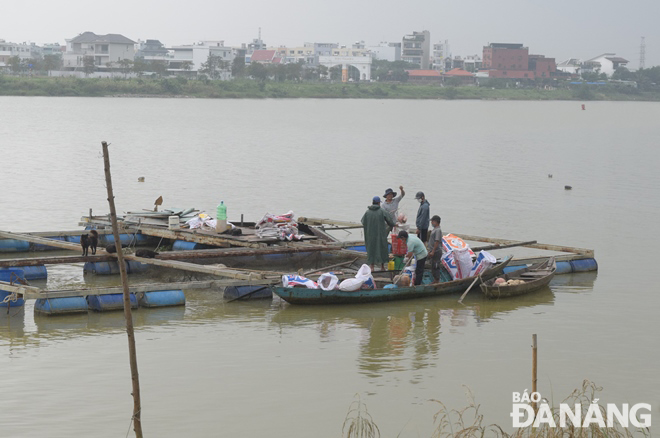 Quận Cẩm Lệ hoàn thành di dời toàn bộ lồng bè trên các sông