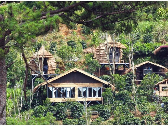 Review 10 homestay Đà Lạt giá rẻ, đẹp và view rừng thông lãng mạn