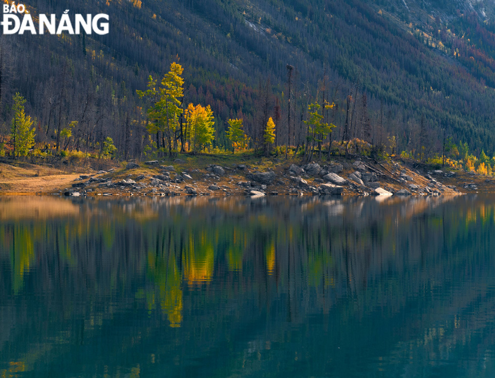 Hồ Medicine trong Vườn quốc gia Jasper với làn nước trong xanh như chiếc gương soi bóng những hàng cây lá vàng trong nắng thu.