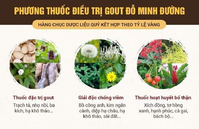 Chú Đỗ Văn Nho (62 tuổi, Hà Nội) bị gout hơn 3 năm đã đón nhận niềm vui nhờ sử dụng Gout Đỗ Minh.
