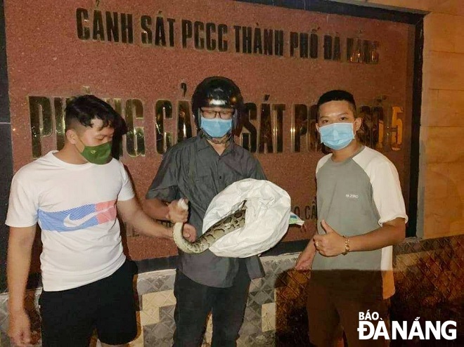 Dang Thai Tuan (mid) rescues a python molurus crawling into the headquarter of the Police Department of Fire Prevention and Fighting and Rescue No. 5 in October 2021.