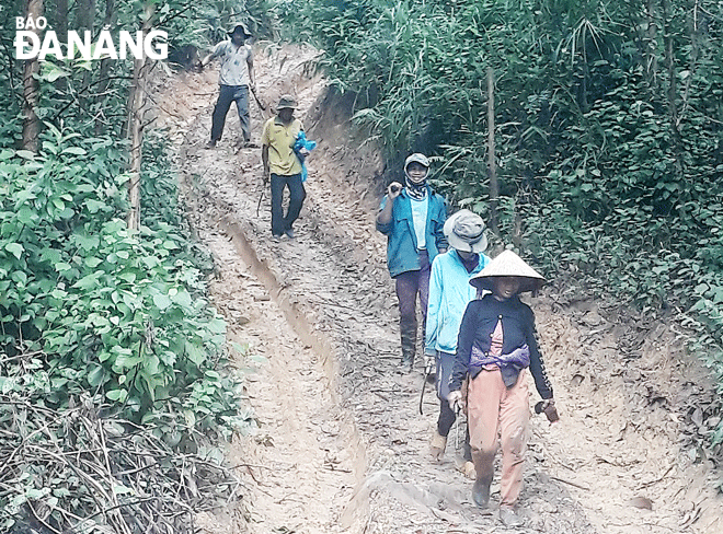 The H'Re people work in the forest to earn money to support their family back home. Photo: N.H