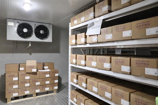 Vaccines are stored at a warehouse (Photo: VNA)