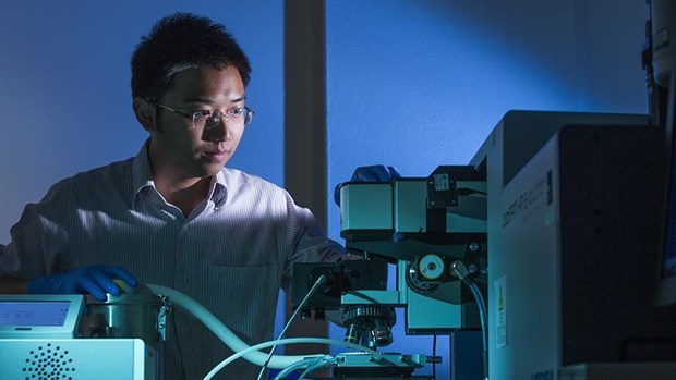 Vietnamese Scientist In Australia Honoured With Science-technology ...